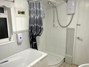 Et badeværelse på 4 Cross Ifor Terrace + 22 billeder