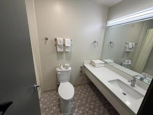 een badkamer met een toilet, een wastafel en een spiegel bij University Inn & Suites in Stevens Point +26 foto's