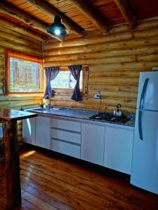 una cucina in una baita di tronchi con frigorifero di La Autóctona a Villa Yacanto