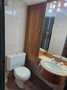 a bathroom with a toilet and a sink and a mirror at Amplio Departamento Céntrico in Barraquero +14 photos