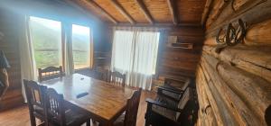 Et opholdsområde på Cabañas BALCONES DEL PORTEZUELO - Mendoza