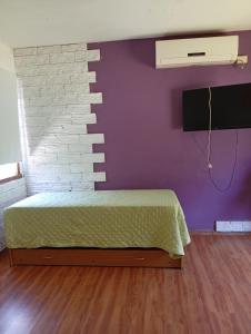 a bedroom with a bed and a purple wall at Aires Verdes in General Pico +9 photos