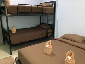 two bunk beds in a room with shoes on a table at Evergreen Guest House in Khao Sok National Park