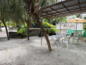 Zahrada ubytování Coconut Palm Dhidhoo