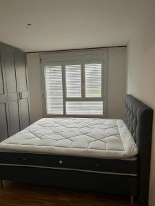 ein Schlafzimmer mit einem Bett vor einem Fenster in der Unterkunft Le relais du Marronnier in Grandsivaz