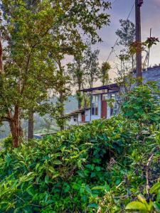 Κήπος έξω από το Mad & Nomad Backpackers Hostel