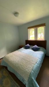 Cabaña Arte Patagonia في بويوهو: غرفة نوم مع سرير ووسائد زرقاء ونافذة +11 صورة