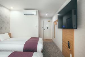 TV a/nebo společenská místnost v ubytování Kuretake Inn Okayama