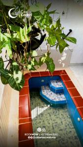 a bathroom with two toilets and a potted plant at Cabañas Casa Luna in Rivera