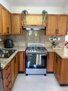 Køkken eller tekøkken på Luxurious Apartment + 25 billeder