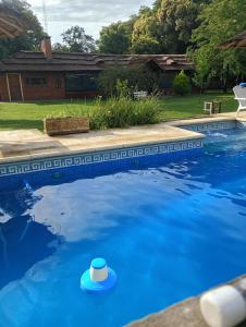 a hat is sitting in a blue swimming pool at Casa Quinta in Mercedes