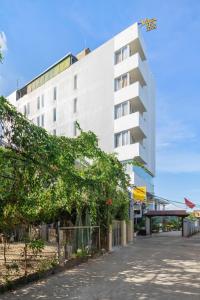 顺化Việt Nam Hotel的街边的一栋白色建筑
