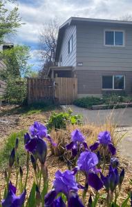 Ảnh trong thư viện ảnh của Apartment in Ft Collins ở Fort Collins