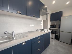 a kitchen with blue cabinets and a sink and a refrigerator at Au petit café in Châteauvillain +4 photos