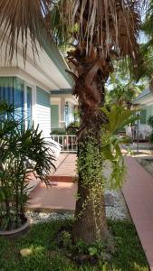 a palm tree in front of a house at Vipha Ville Resort in Ban Huai Yang