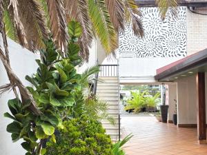 a stairway leading into a building with plants at El Toro Motel in Warwick Farm +15 photos