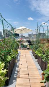 a garden with an umbrella and many plants at 烟雨轩301新 in Tokyo +21 photos