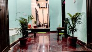 a room with potted plants and a chair in it at Kamla Sadan Palace in Ayodhya