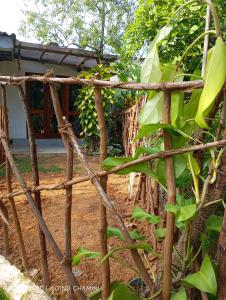 a bamboo fence in front of a house at DiDi Eco Home in Weligama