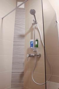 a shower with a microphone in a bathroom at Mēness Apartamenti in Cēsis
