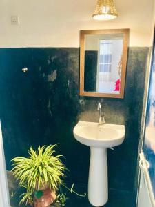 a bathroom with a sink and a mirror and two plants at Relax point cabana & restaurant in Netolpitiya