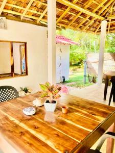 a wooden table with a potted plant on top of it at Relax point cabana & restaurant in Netolpitiya +39 photos