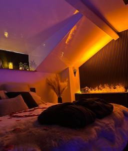 Serenity Suite في مونتبيليارد: سرير في غرفة ذات أضواء أرجوانية وصفراء