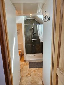 Gîte Le p'tit nid de Montachon, Saulieu, Morvan في Saint-Didier: حمام مع دش مع ستارة دش +42 صورة