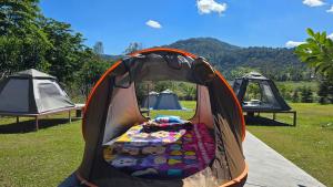 een tent met een bed midden op een veld bij Phulomnum resort in Khao Kho