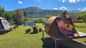 een groep tenten in een grasveld bij Phulomnum resort in Khao Kho