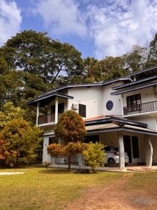 una casa blanca con un árbol delante en Leafy Haven Villa, en Liyanegoda