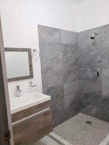 een badkamer met wastafel en douche met spiegel bij Departamento Céntrico in Monterrey