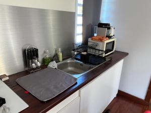ブーライユにあるBourail take restのシンクと電子レンジ付きのキッチンカウンター