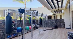 a gym with punching bags and balls on a deck at Mauna Lani, Auberge Collection in Puako