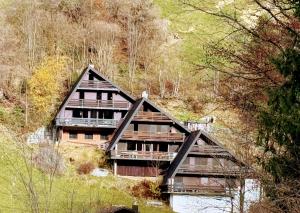 een houten huis midden in een bos bij Chalet Engelberg Mountain View in Engelberg