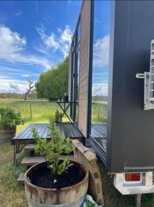 En have udenfor Billy Button by Tiny Away