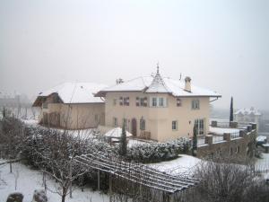 Gutshof Sinn during the winter