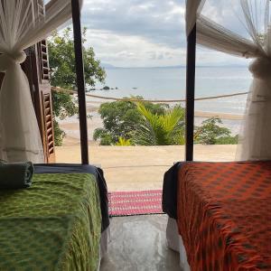 Naturlandskabet i nærheden af lejligheden + 17 billeder