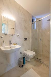 een badkamer met een wastafel, een toilet en een douche bij Istanbul Hotelsophia in Istanbul