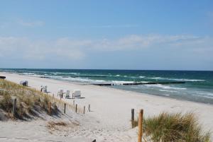 ein Strand mit einer Reihe von Stühlen im Sand in der Unterkunft Urlaub in Wieck in Wieck