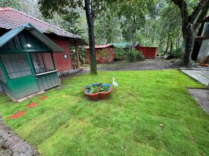 Vườn quanh Manuvan Estate Stay