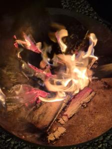 Billede fra billedgalleriet på Le Ri de Vâ Maboge La Roche en Ardenne i Ortho