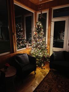 een woonkamer met een kerstboom in een kamer bij La Remus in Moieciu de Jos