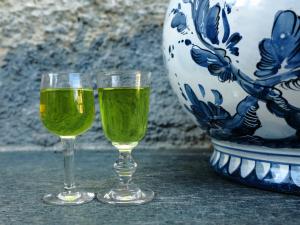 two glasses of wine sitting next to a vase at I Calleri Garden and Rooms in Millesimo