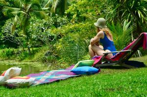 Zahrada ubytování EcoBlueprint Garden + 11 fotografií