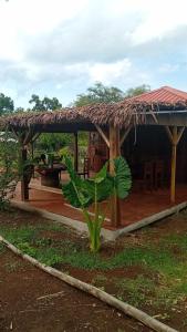 una casa con un tetto con una pianta nell'erba di Danae Beach Golf a Nosy Be