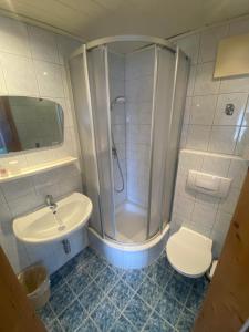 a bathroom with a shower and a toilet and a sink at Müllnerhof - Familie Maier in Haus im Ennstal +8 photos