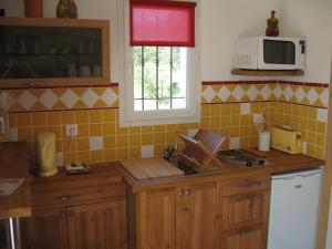a kitchen with a sink and a microwave at la cigale sous l'olivier in Le Castellet