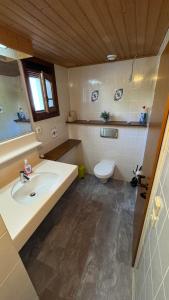 a bathroom with a sink and a toilet at Gemütliches Apartment - Kanzelhöhe - Gerlitzen in Treffen