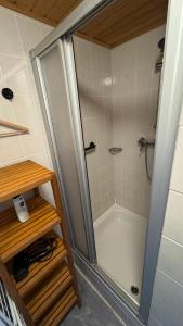 a shower with a glass door in a bathroom at Gemütliches Apartment - Kanzelhöhe - Gerlitzen in Treffen +5 photos